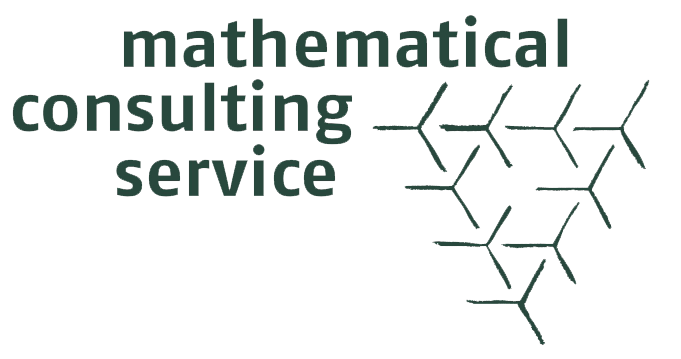 Mathematical Consulting Service Logo