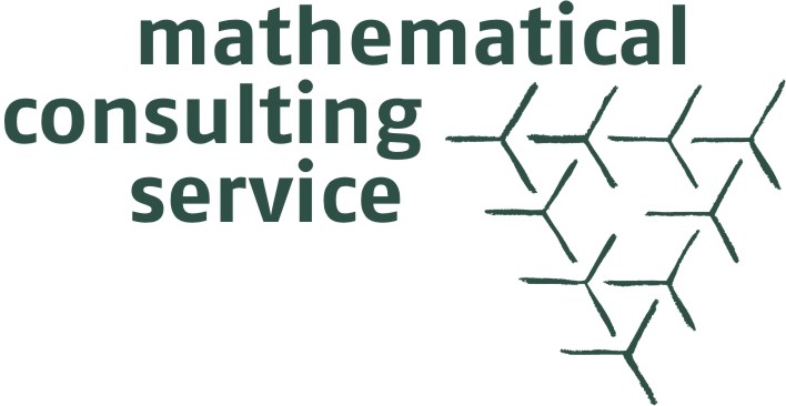 Mathematical Consulting Service Logo