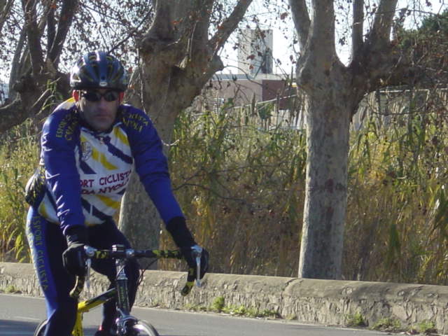DSC00517