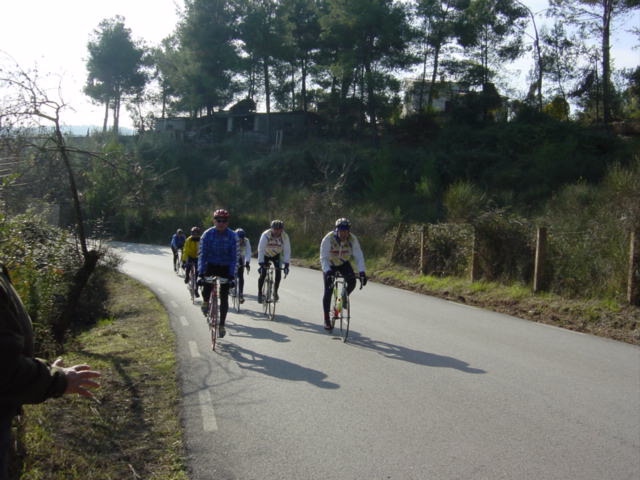 DSC00217