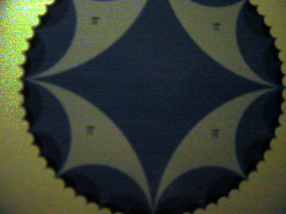 DSC01945