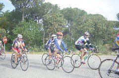 DSC02212.JPG