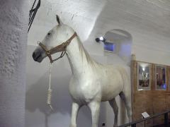 HPIM1575