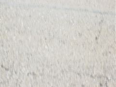 DSC00026.JPG