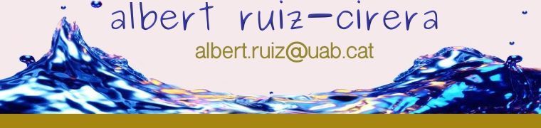 Albert Ruiz Cirera