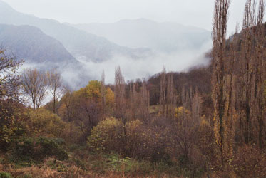 Jou (Catalonia)-Author:Elisenda Vila