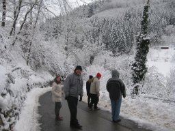 Watching the snow